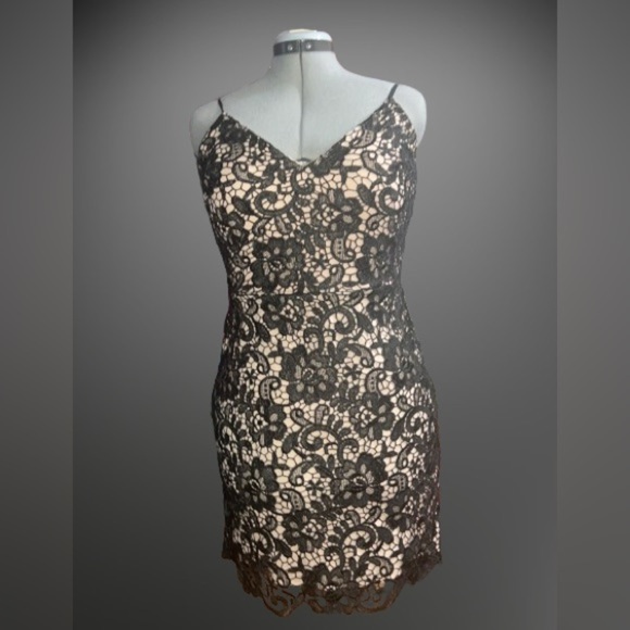 Express Dresses & Skirts - NWT Express mini lace cocktail dress, Sz 8